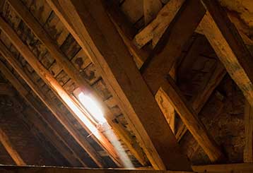 Attic Cleaning | Crawl Space Cleaning Los Angeles, CA