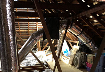 Attic Insulation Removal Project | Crawl Space Cleaning Los Angeles, CA