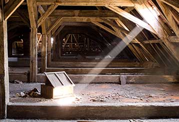 Signs Your Crawl Space Needs Cleaning | Crawl Space Cleaning Los Angeles, CA