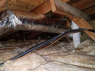 Crawl Space Cleaning Services | Crawl Space Cleaning Los Angeles, CA