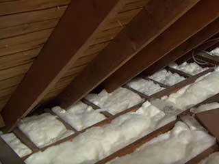 Crawl Space Repair Services | Crawl Space Cleaning Los Angeles, CA