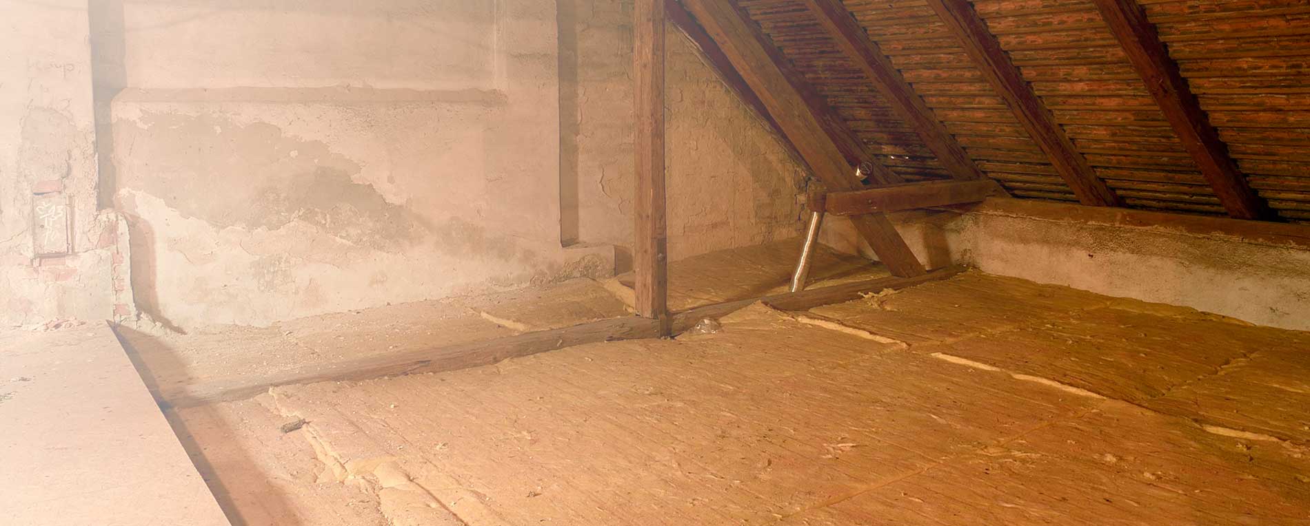 The Difference Between an Attic Cleaning and Decontamination