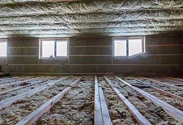 The Difference Between an Attic Cleaning and Decontamination | Crawl Space Cleaning Los Angeles, CA